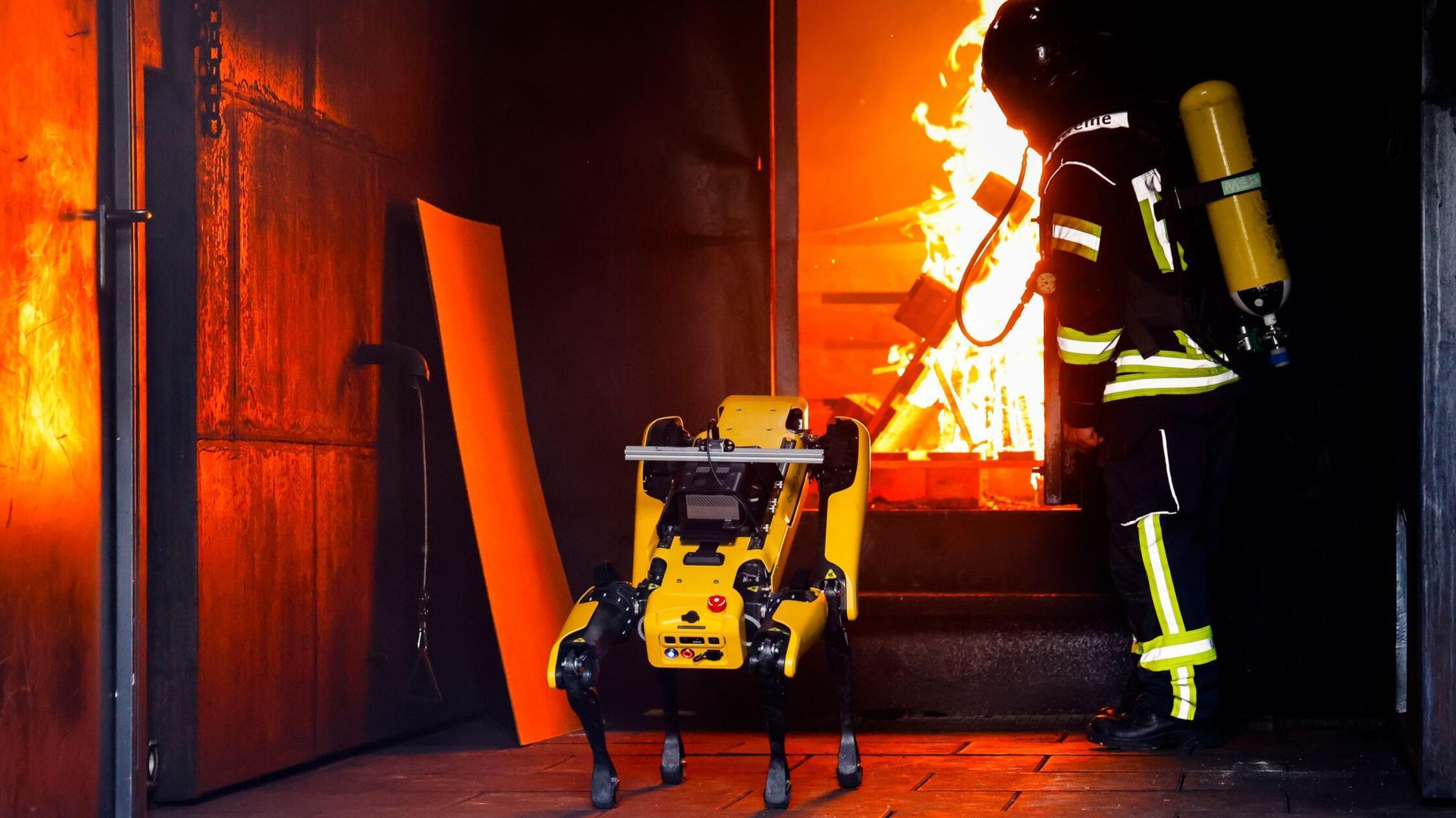 Roboter „Byte“ lernt Umgang mit Waldbränden