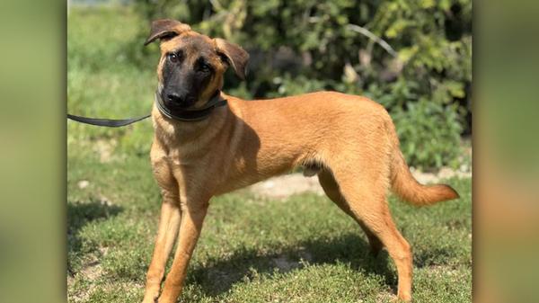 2025-08-18_11-54_bild_erweitern