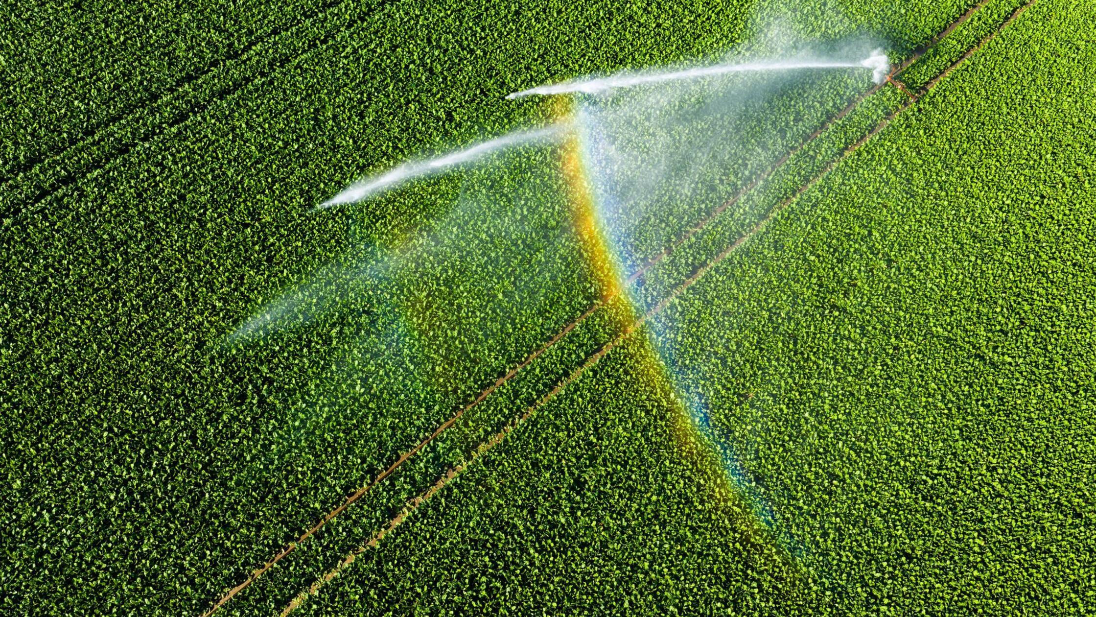 Bauern reagieren auf Trockenheit: Mehr Bewässerung und Soja