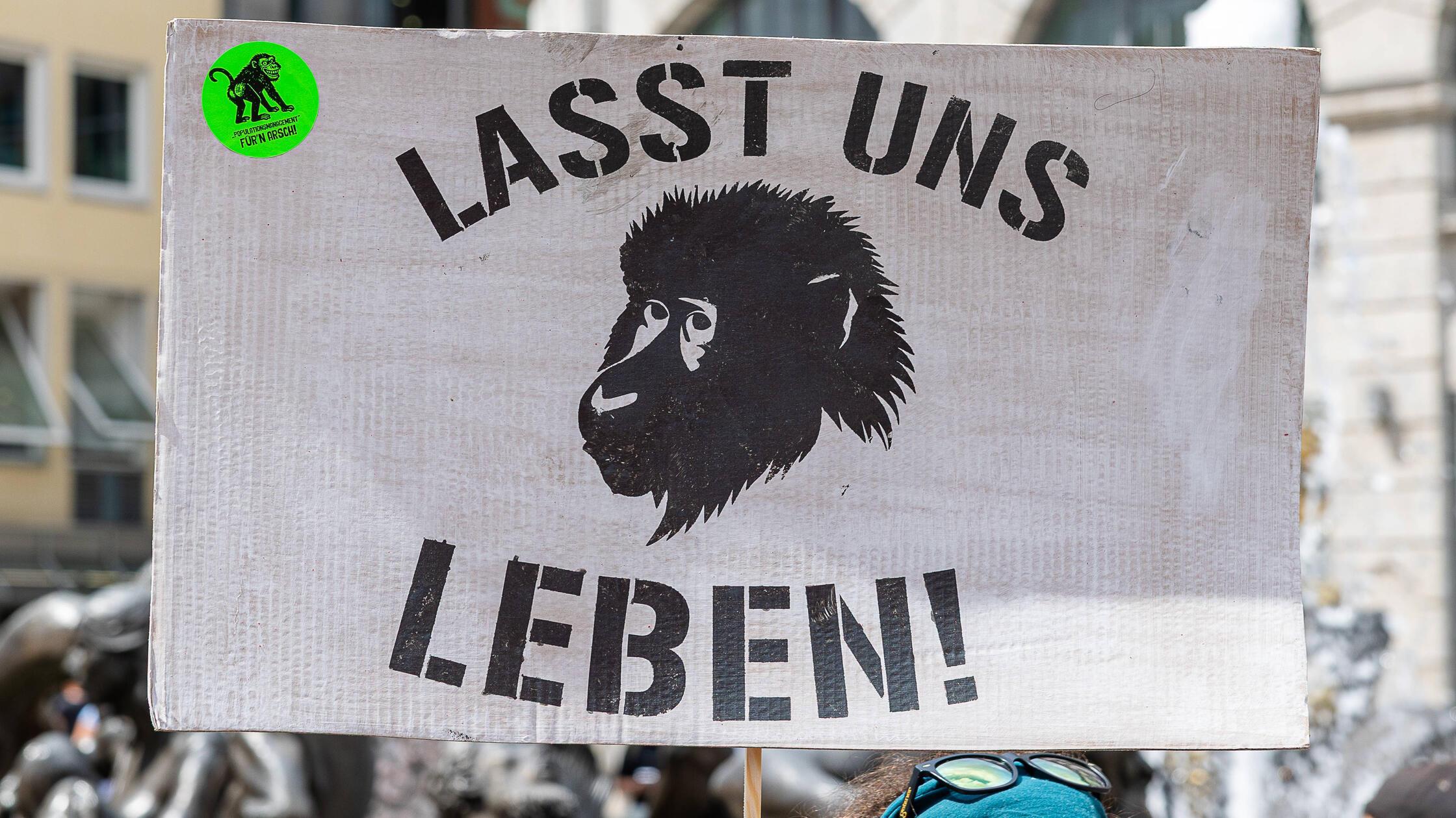 Protest / Demonstration gegen Tötung von Pavianen 