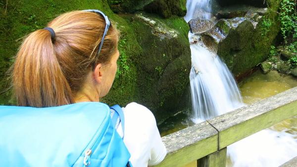 In der Wolfsschlucht.