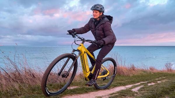 E Bike Fischer Montis 8