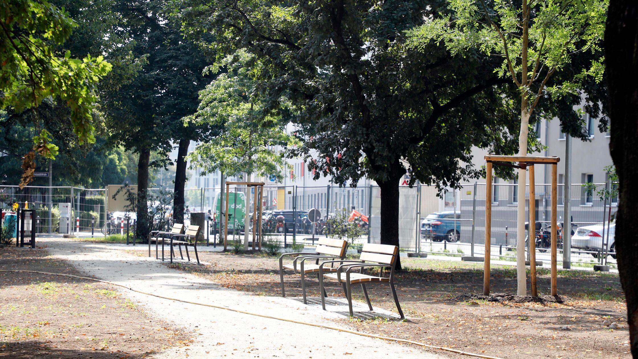 Heinike_hip_150825_03