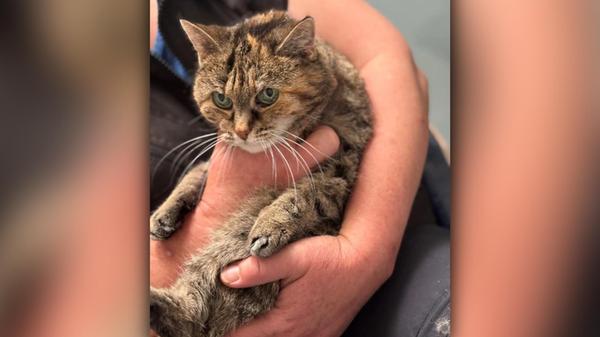 2025-08-20_16-43_bild_erweitern