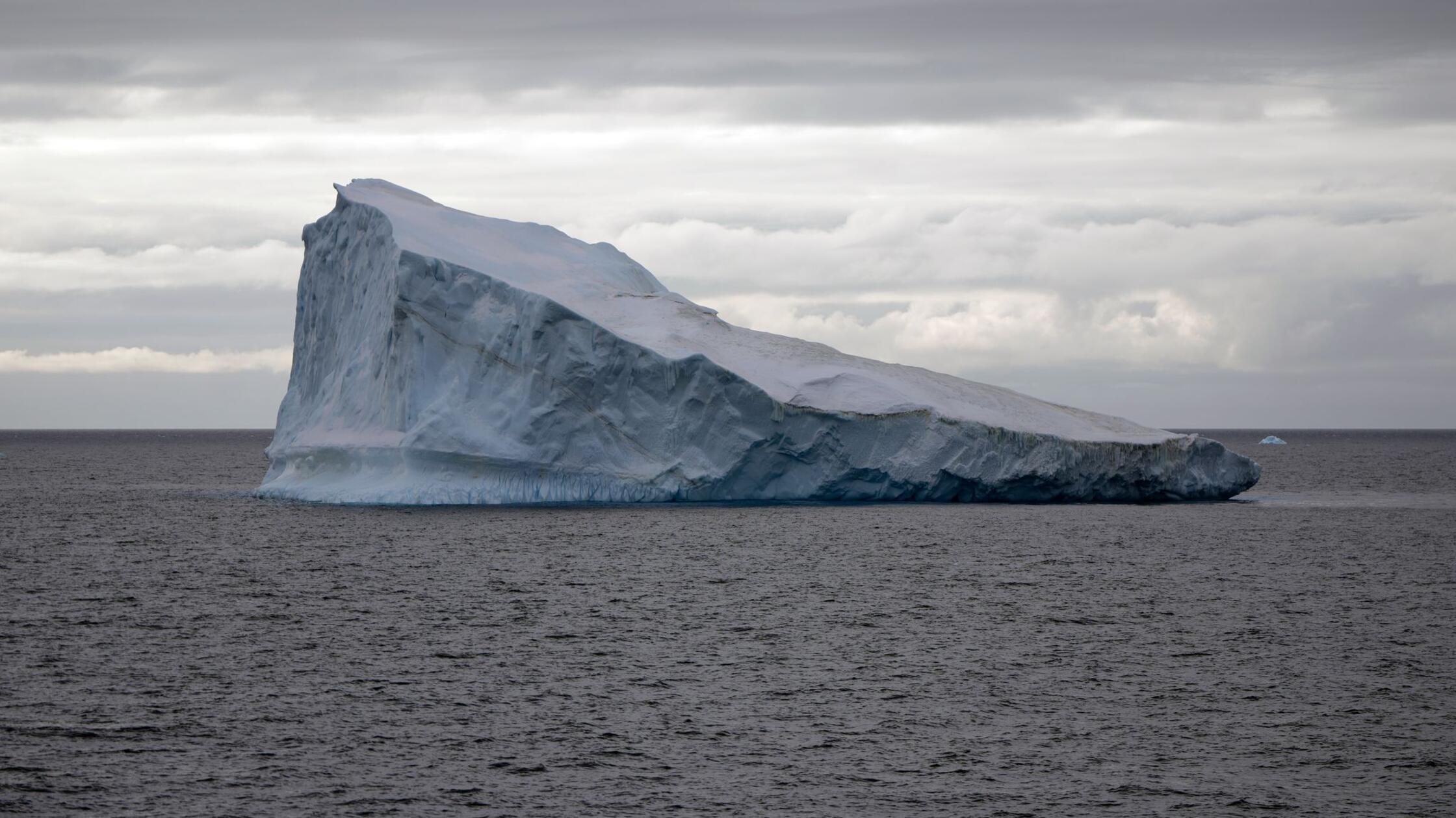 Forscher: Antarktis vor einem Kipppunkt – Pinguine bedroht