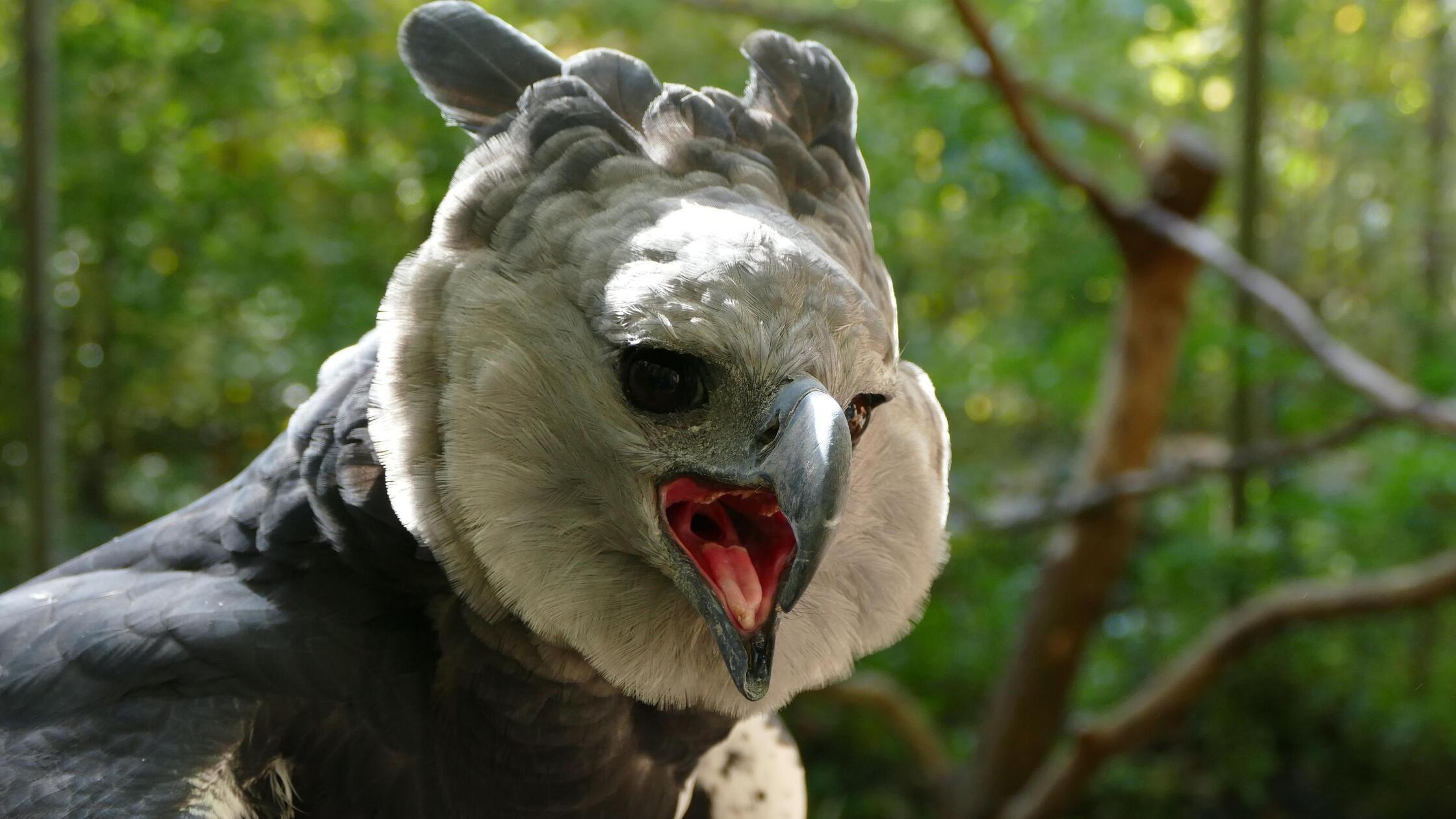 lokales-urbasek-20220421-152108_app11_00