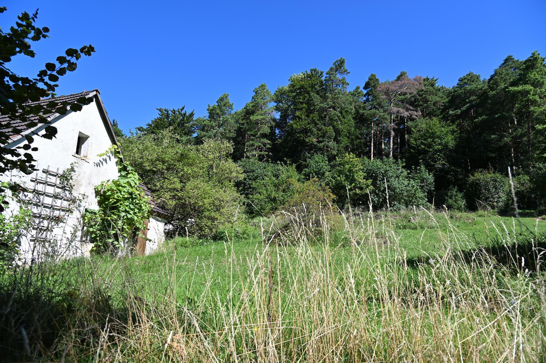 In unserer Serie "Mitten unter uns" haben wir den Orten Hardt und Sattelmannsburg einen Besuch abgestattet - und dabei einen traumhaften Pavillon sowie 17 Alpakas entdeckt. Hier gibt es viele schöne Ecken.