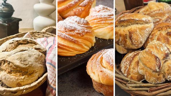 2025-08-22_15-47_collage