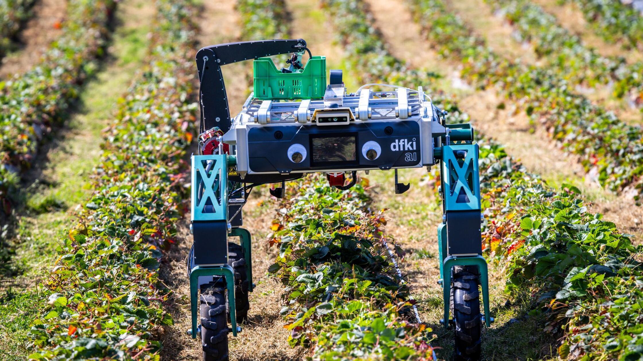 Jeder Dritte befürchtet Arbeitsplatz-Verlust durch KI