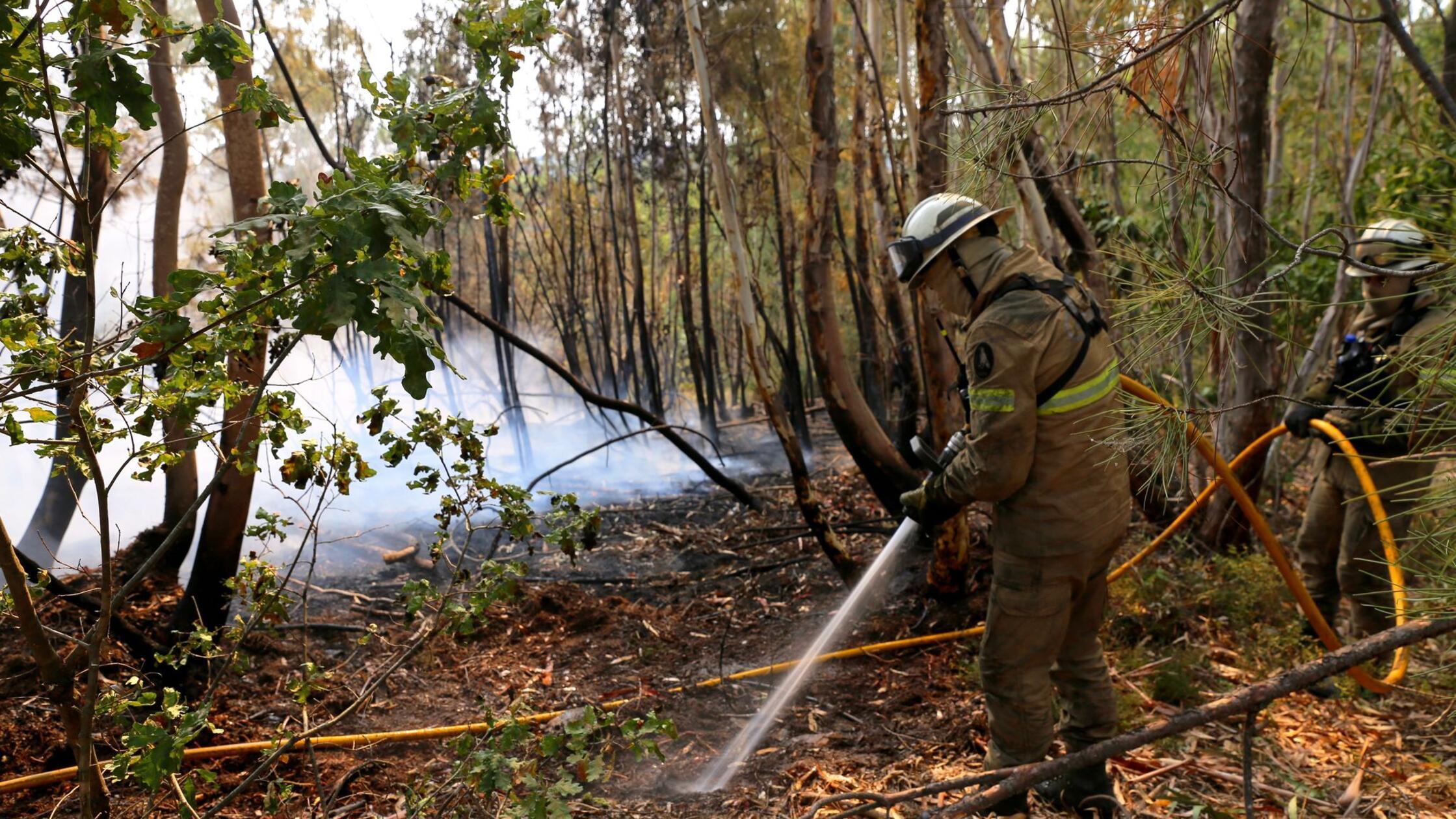 Bereits vier Tote bei Waldbränden in Portugal