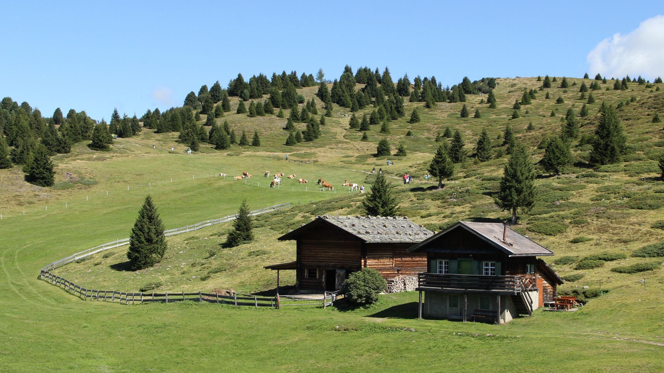 Traurige Gewissheit nach tagelanger Suche: Deutscher Urlauber in Südtirol gestorben