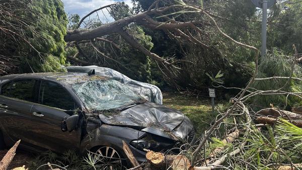 Unwetter an italienischer Adriaküste1900.jpg