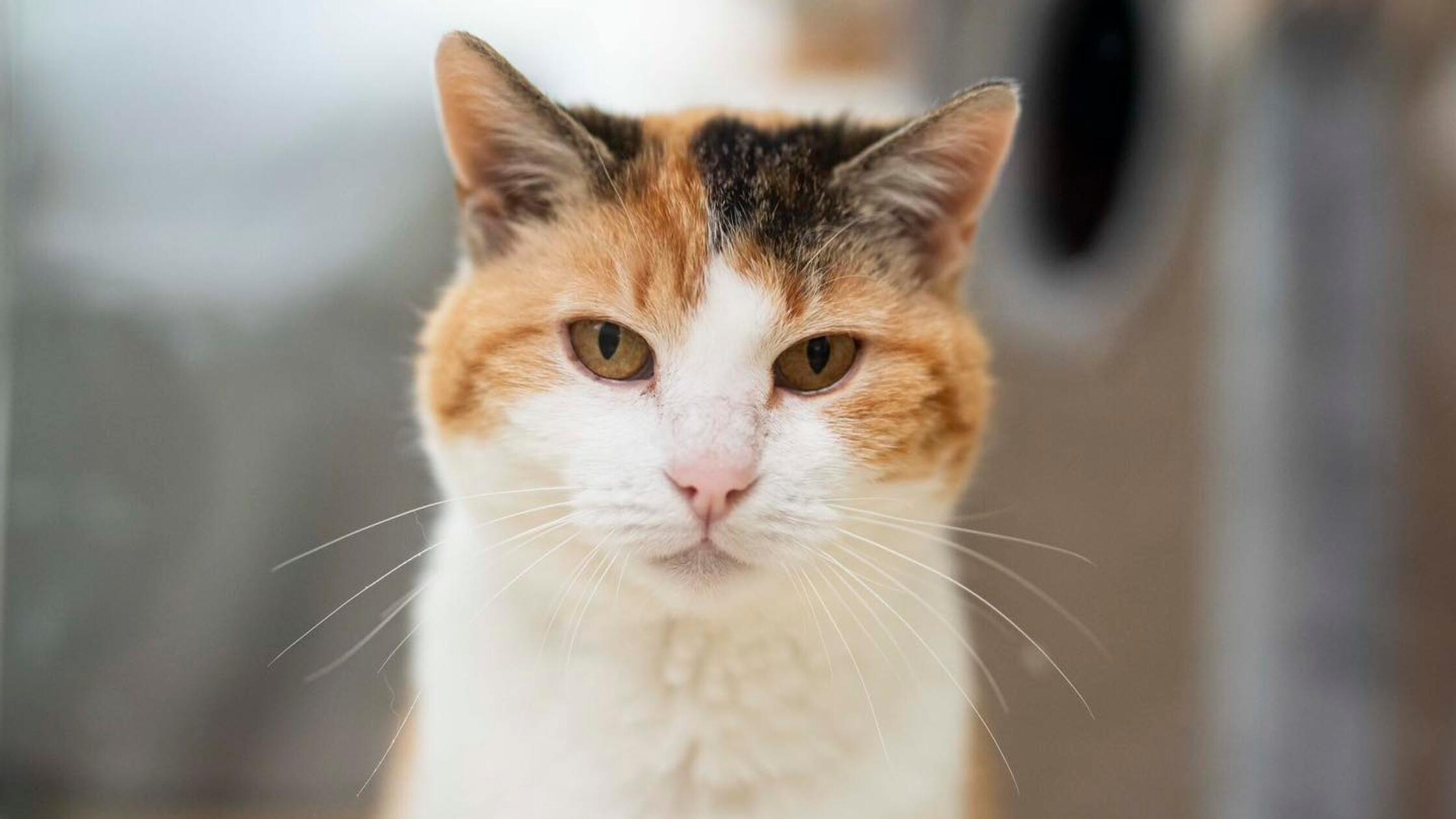 538382824_1191725753000194_8815976619996551625_n