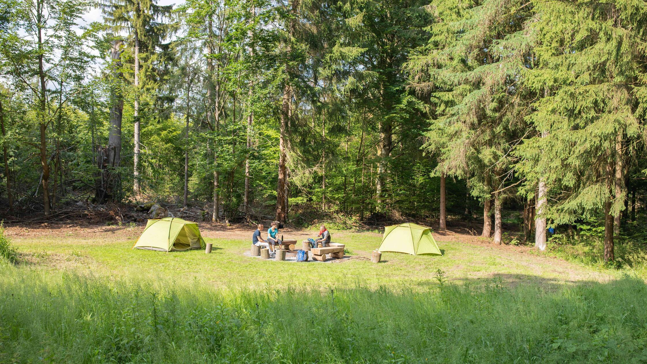 Pressebilder_Trekkingplatz_FRANKENWALD_Rehwiese_kl
