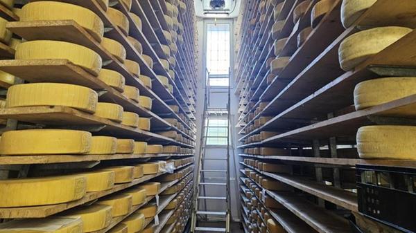 Unzählige Stockwerke an italienischem Käse reifen im vier bis zwölf Grad kaltem Lagerraum im Caseificio di Lavarone.