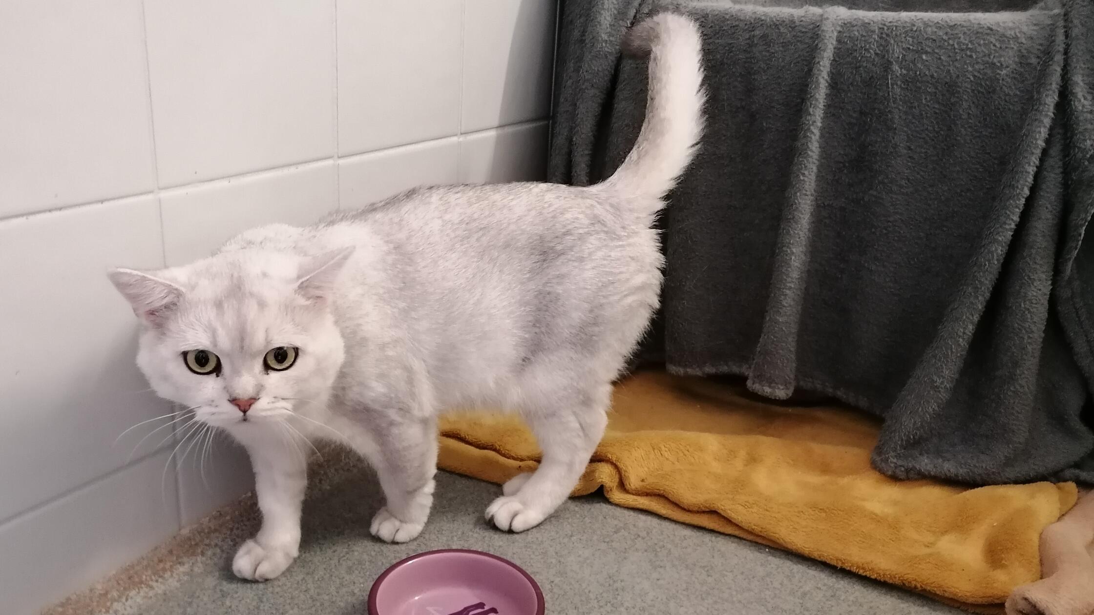 Foto: Nadja Borchert/Tierheim Nürnberg, gesp.2025