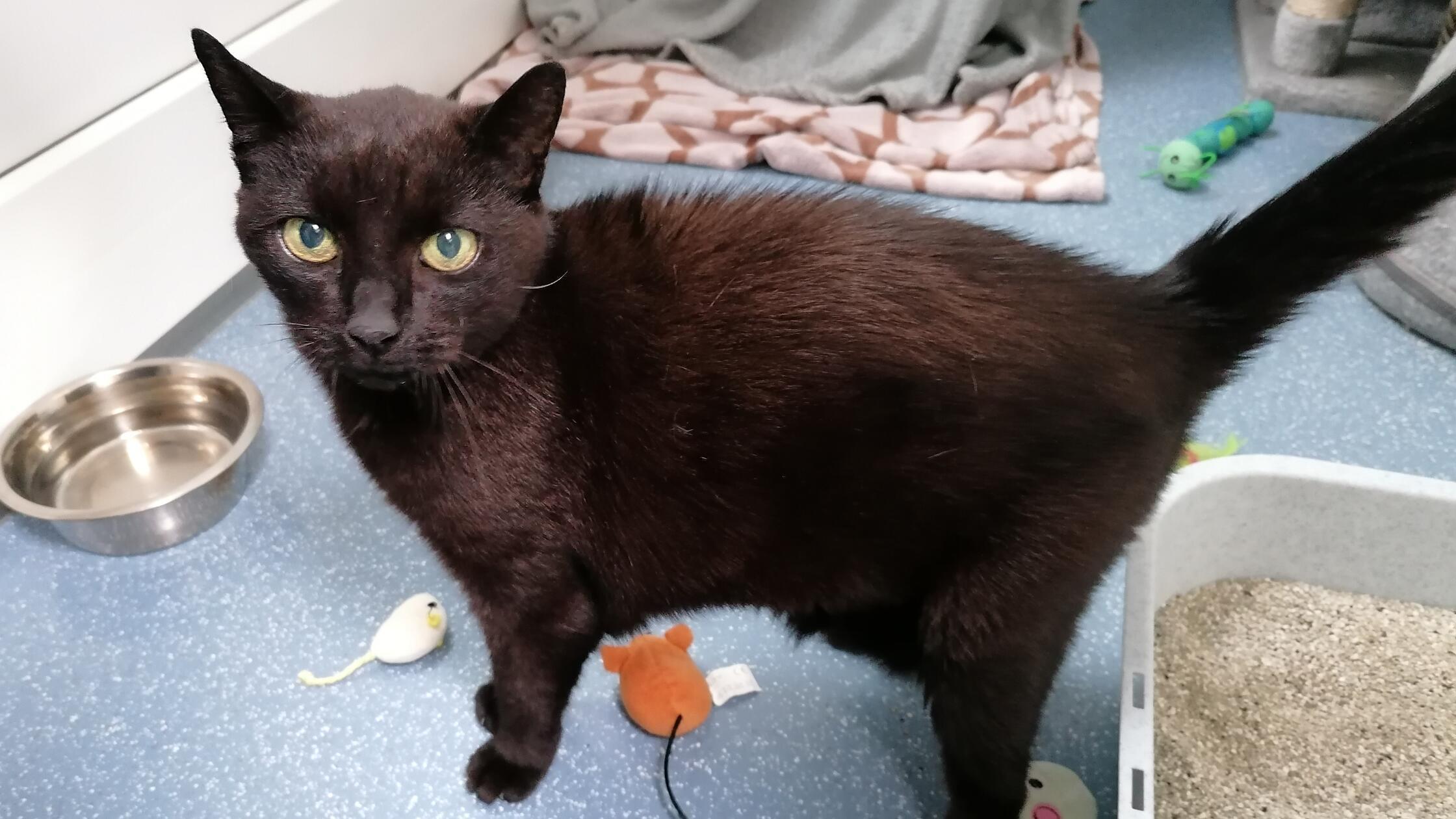 Foto: Nadja Borchert/Tierheim Nürnberg, gesp.2025