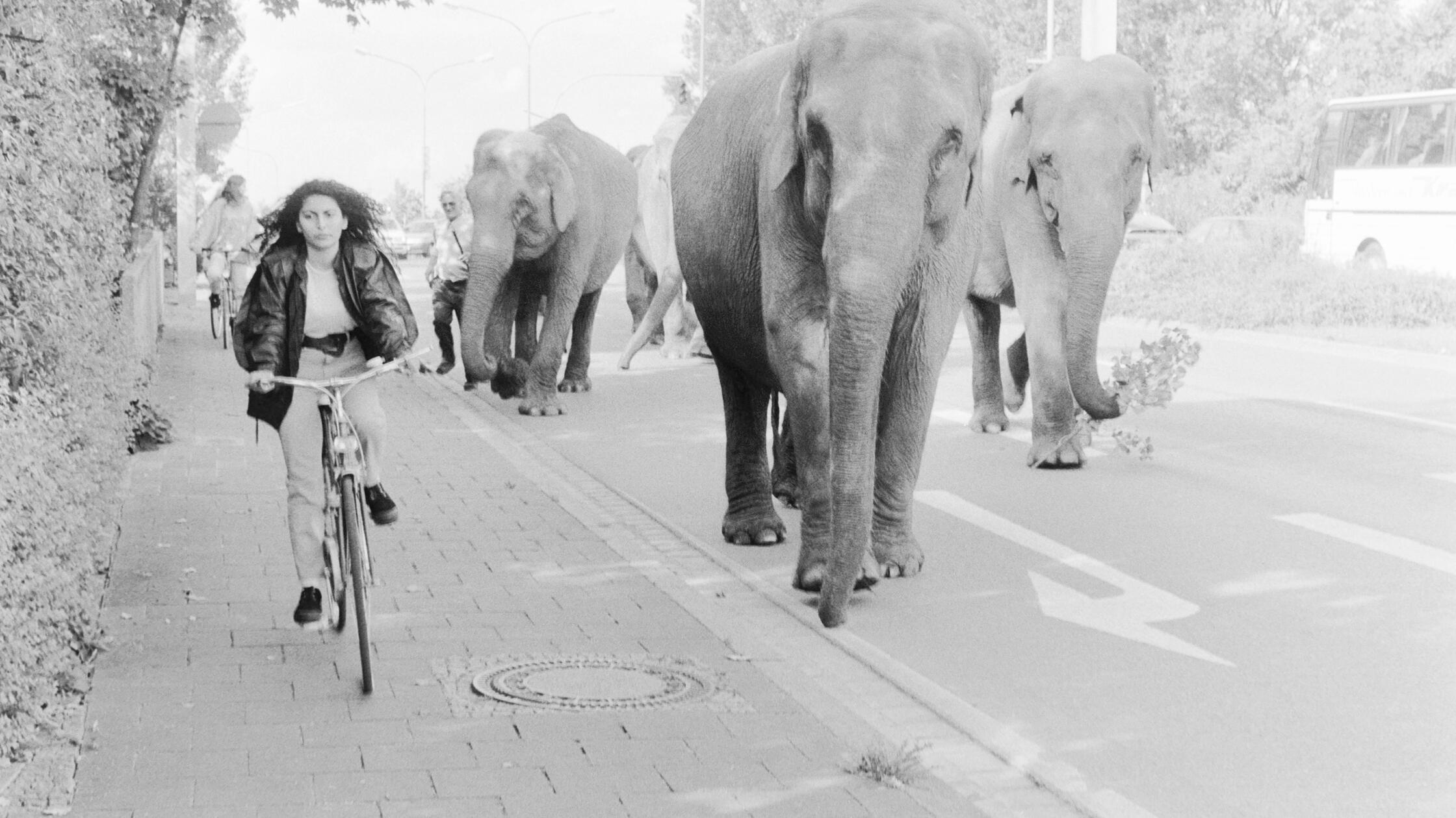 vor30Jahren19791995004