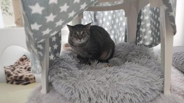 541249432_1197491065756996_5100113081590243849_n