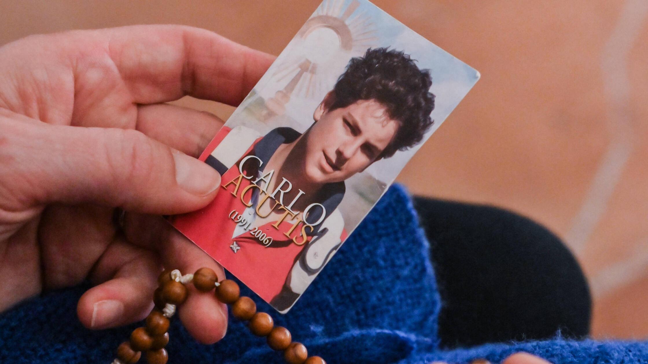 Assisi prepares for the canonization of Carlo Acut