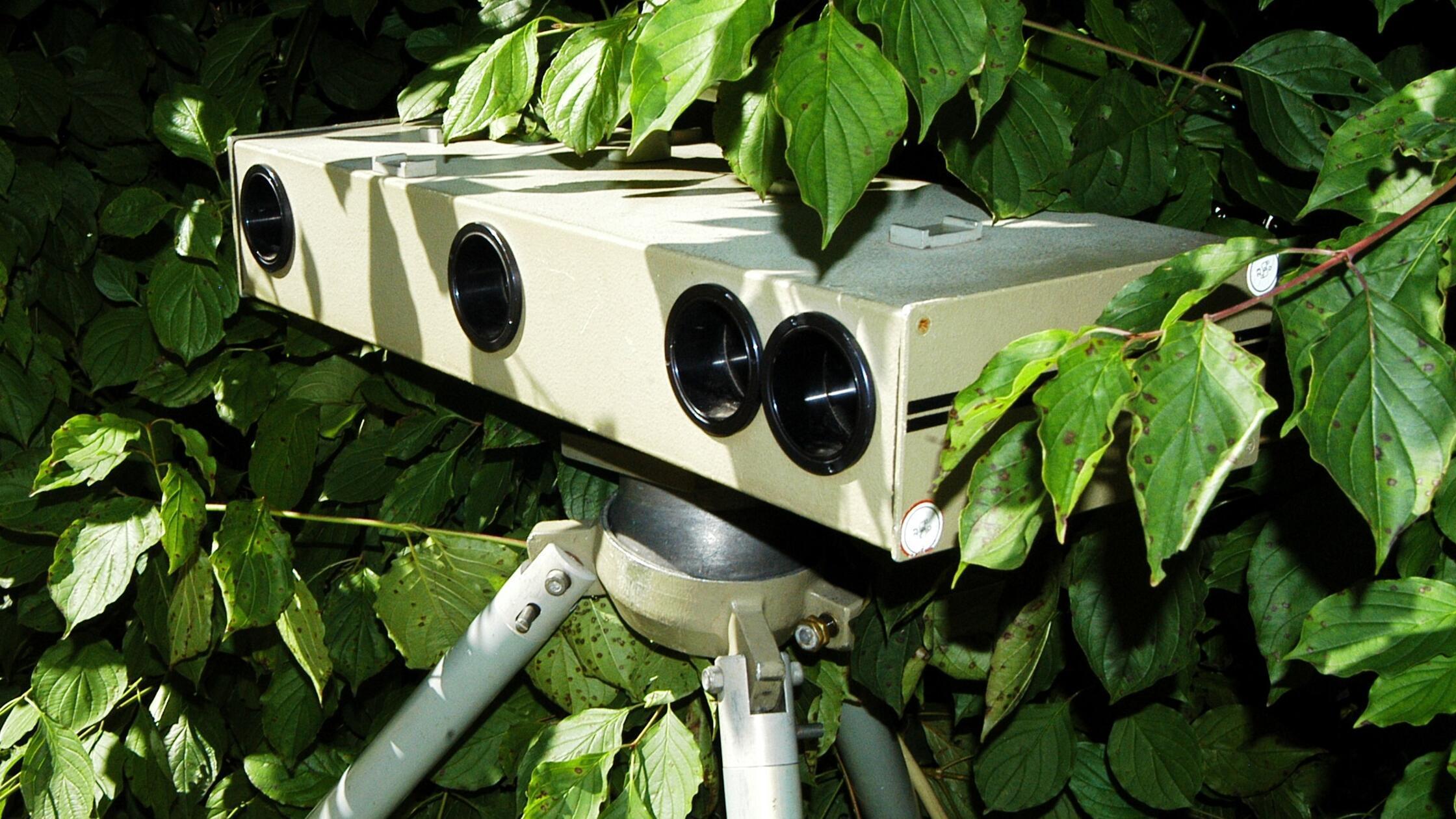 Mehr-als-doppelt-so-schnell-Raser-bei-Treuchtlingen-geblitzt