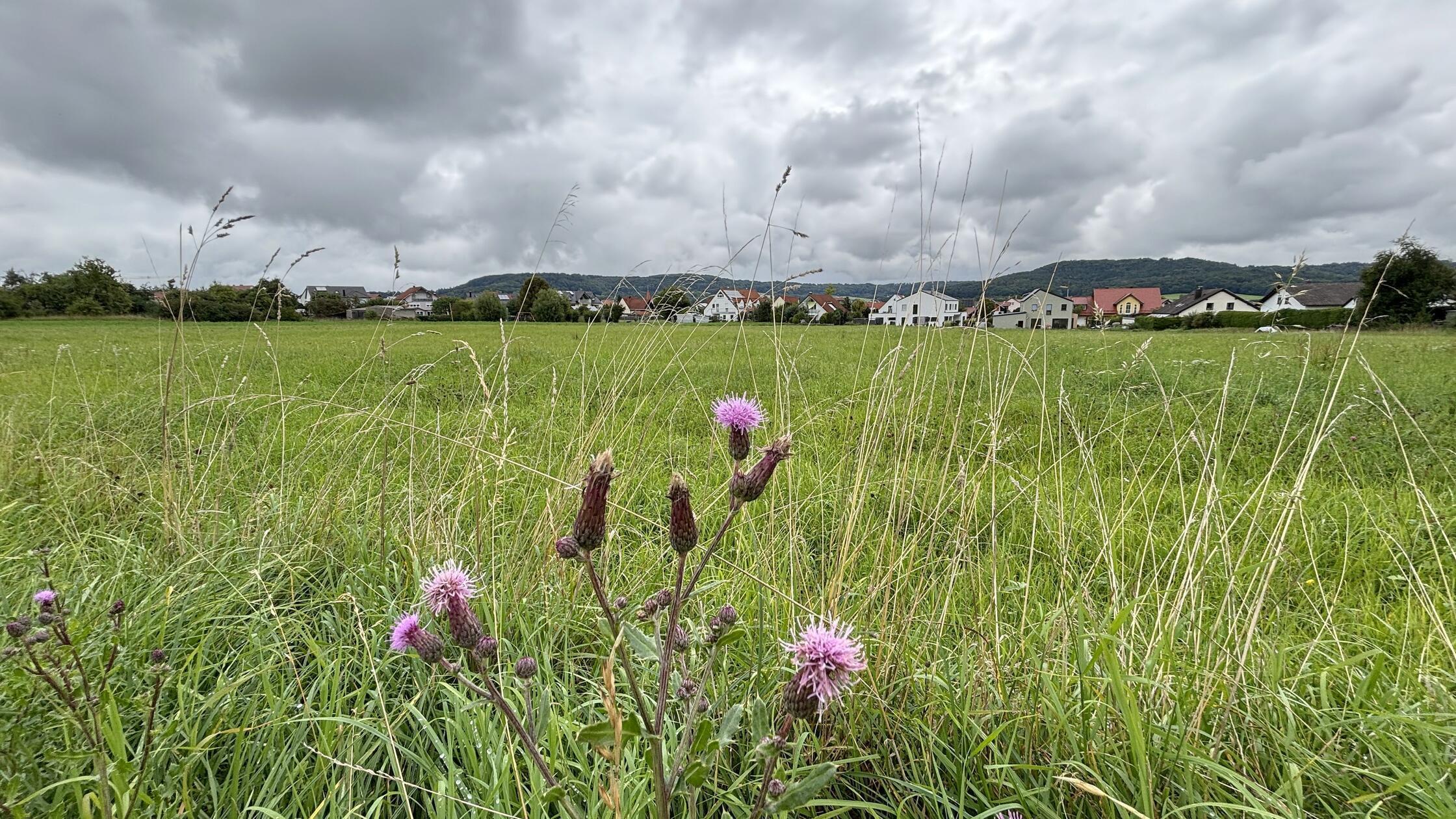 baugebiet_berg_bruehl2