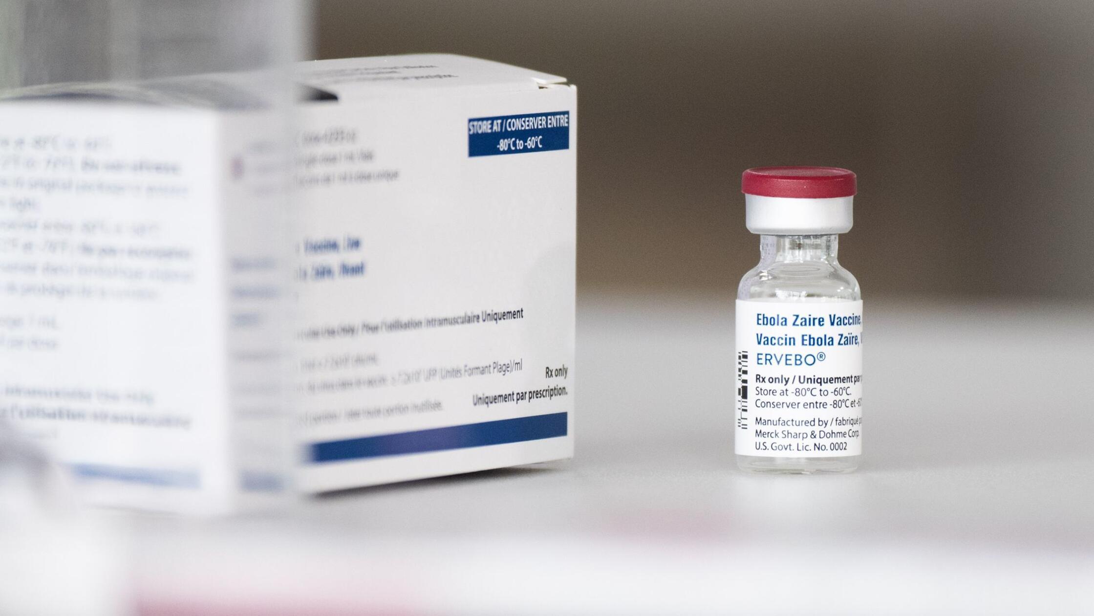 Behörden im Kongo: Ebola-Ausbruch mit 15 Toten