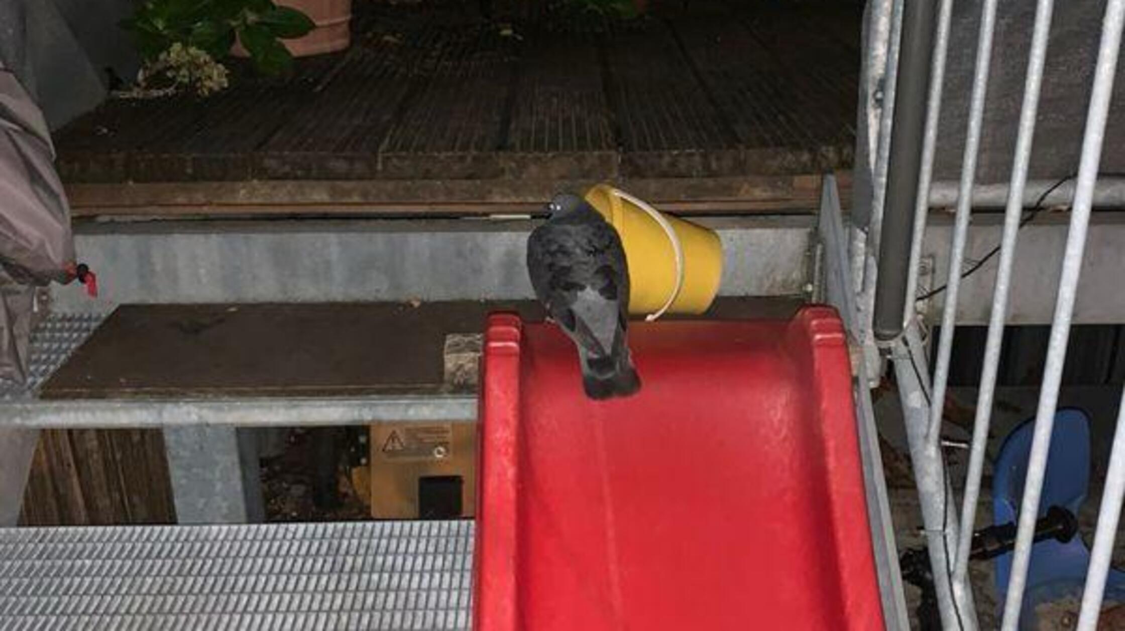 WhatsApp Image 2025-09-03 at 13.03