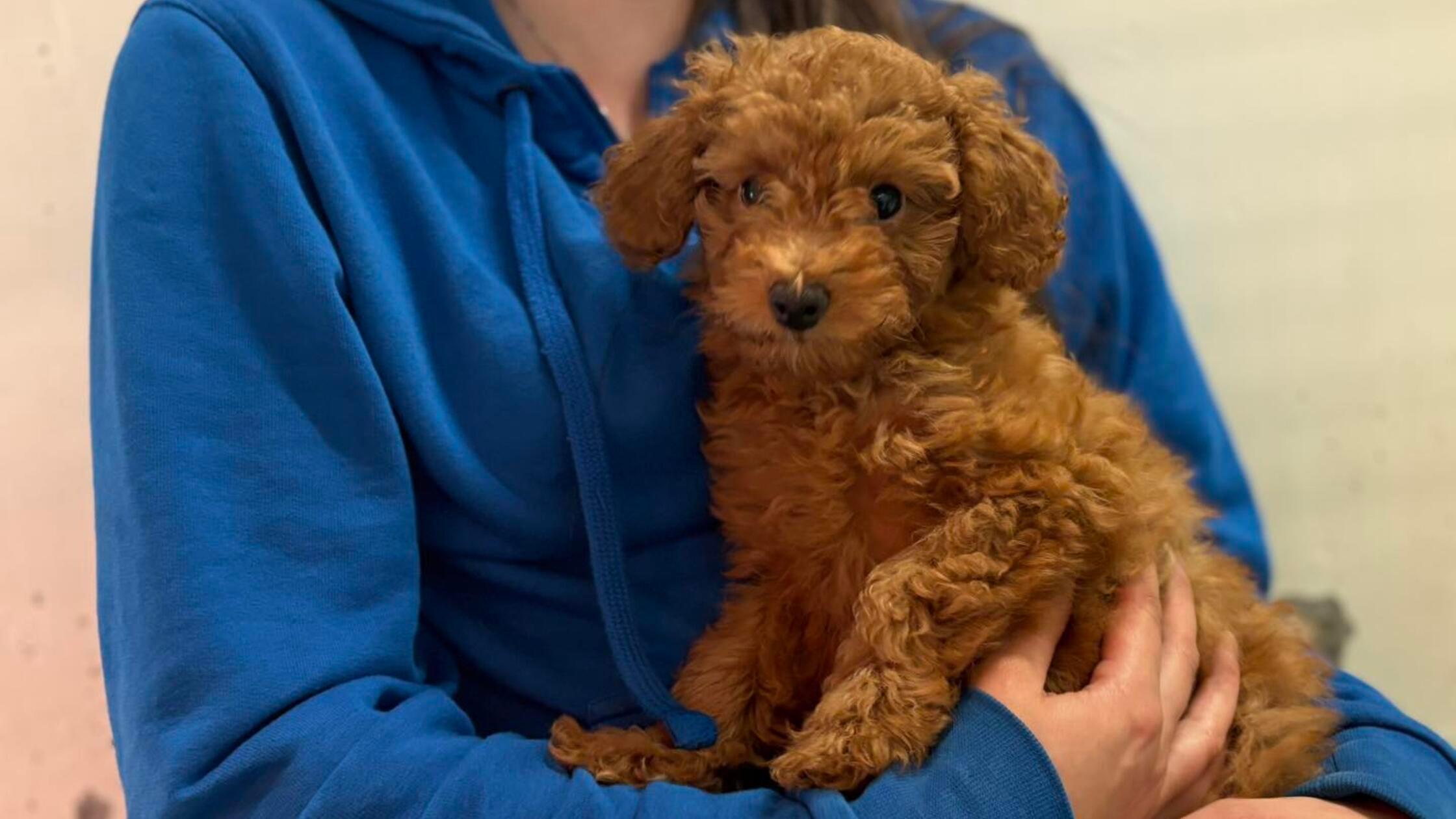 542094717_1199715882201181_3321319364403558119_n