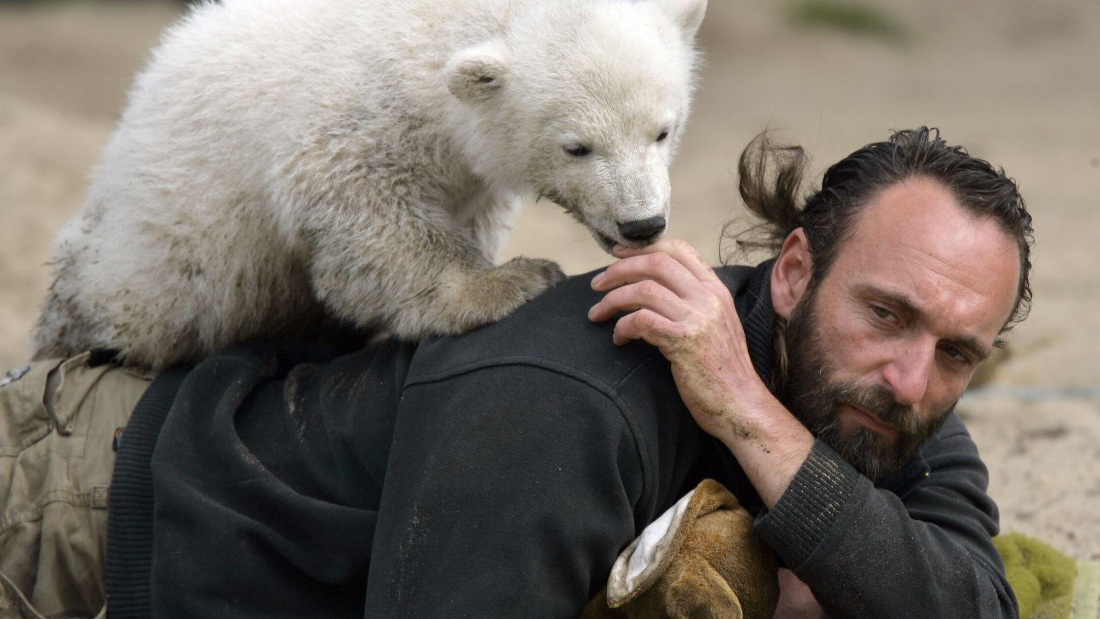 Museumsdirektor: Hype um Eisbär Knut kaum mehr spürbar