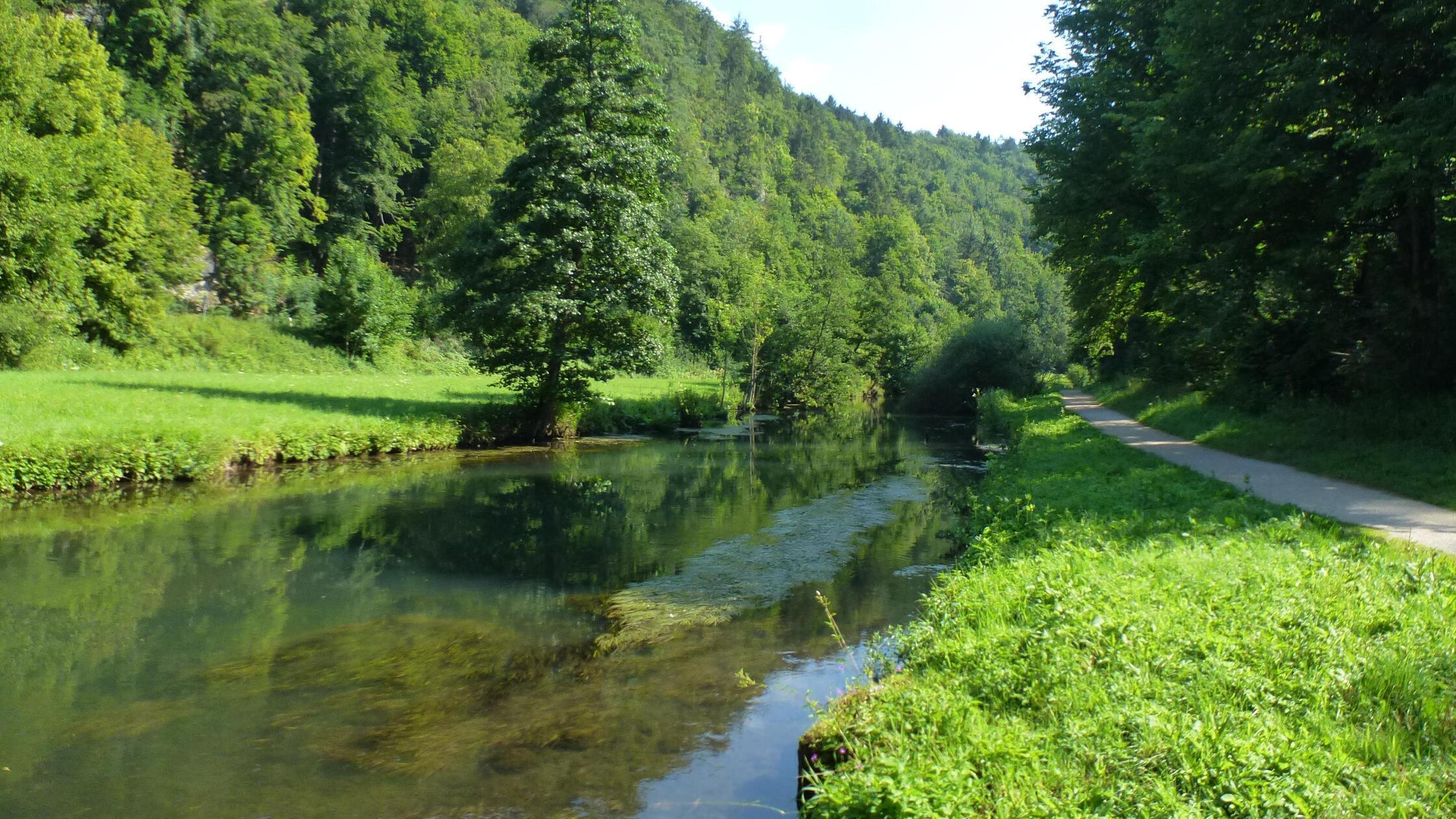 Das idyllische Pegnitztal bei Rupprechtstegen.