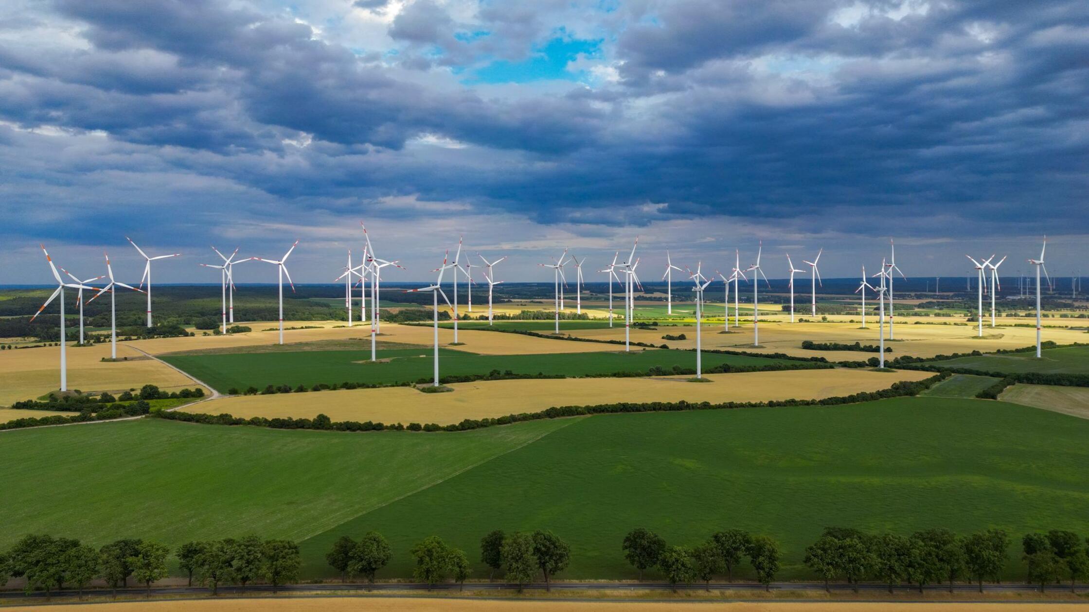 Umweltverband WWF sieht Brandenburg bei Energiewende vorn