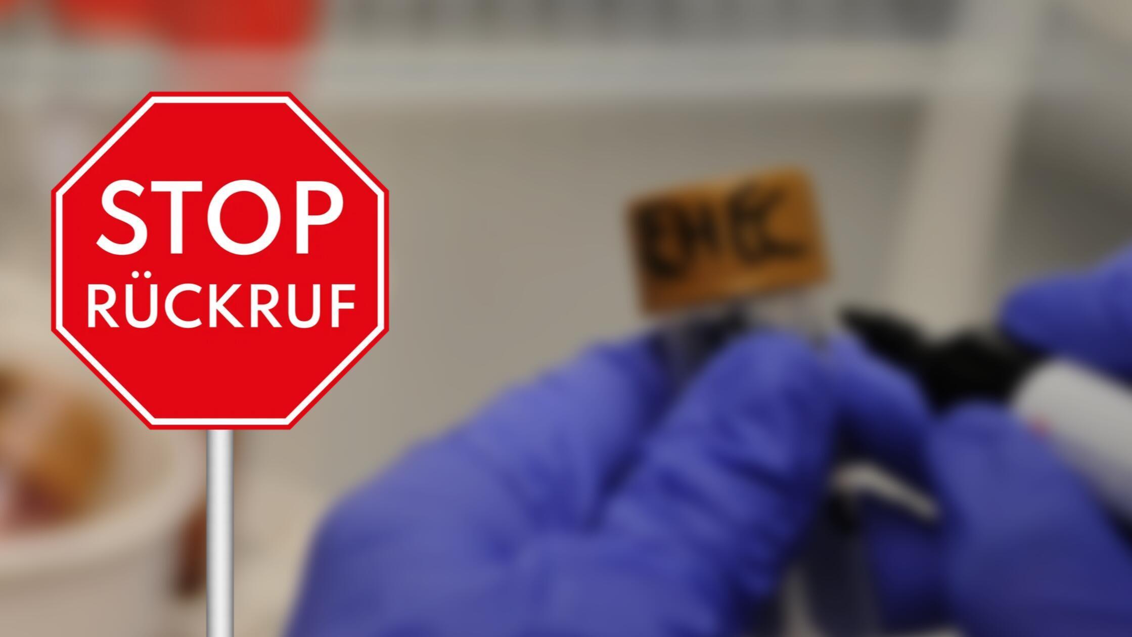 2025-09-06_12-43_collage