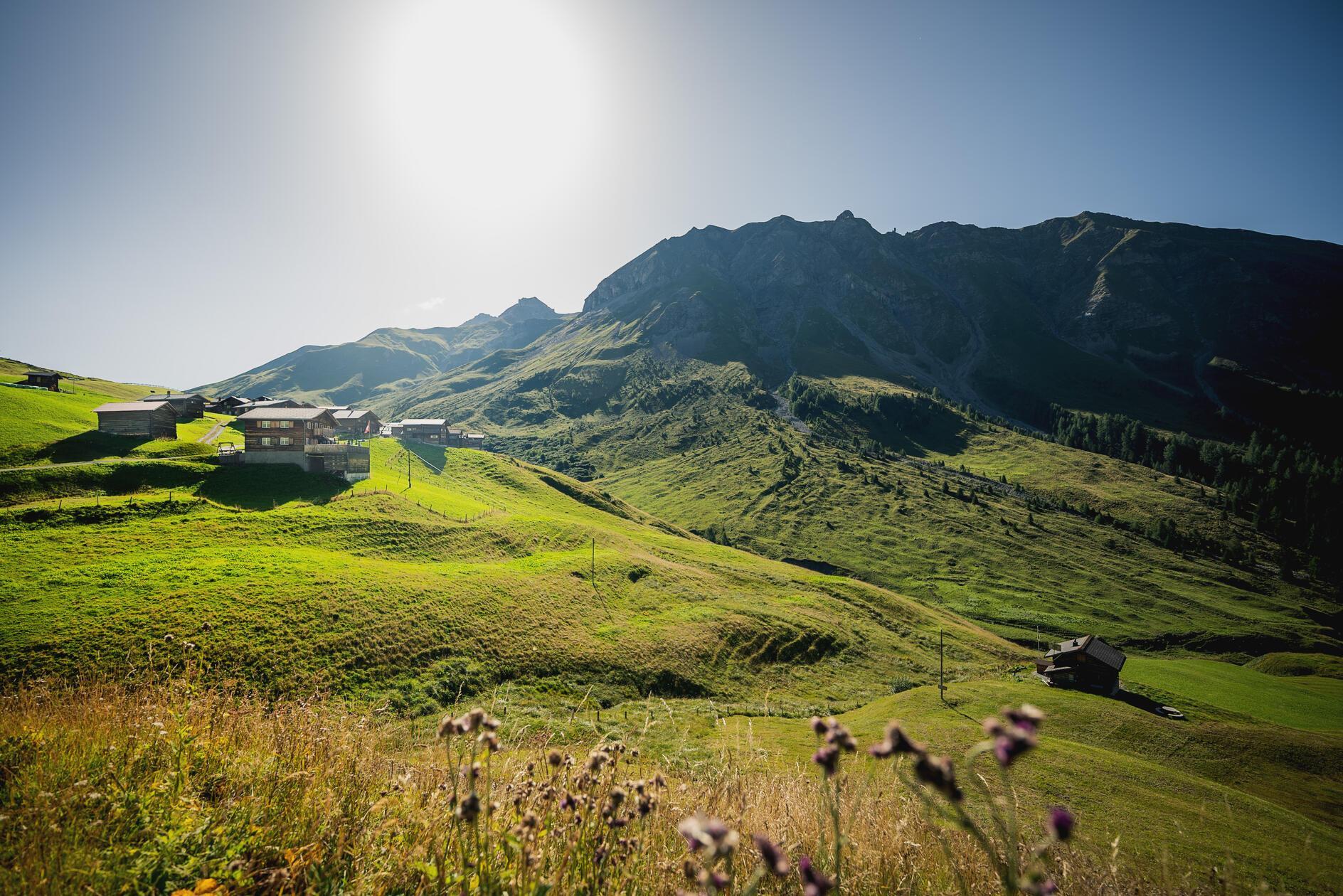 Sanfte Matten und idyllische Walserorte: Das Schanfigg-Tal in Graubünden