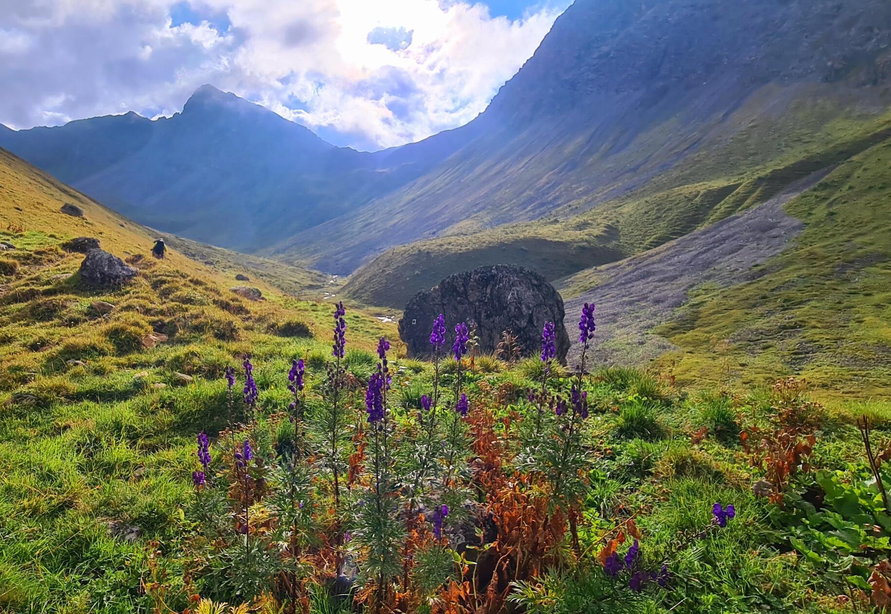 Die Landschaft ist vielfältig.