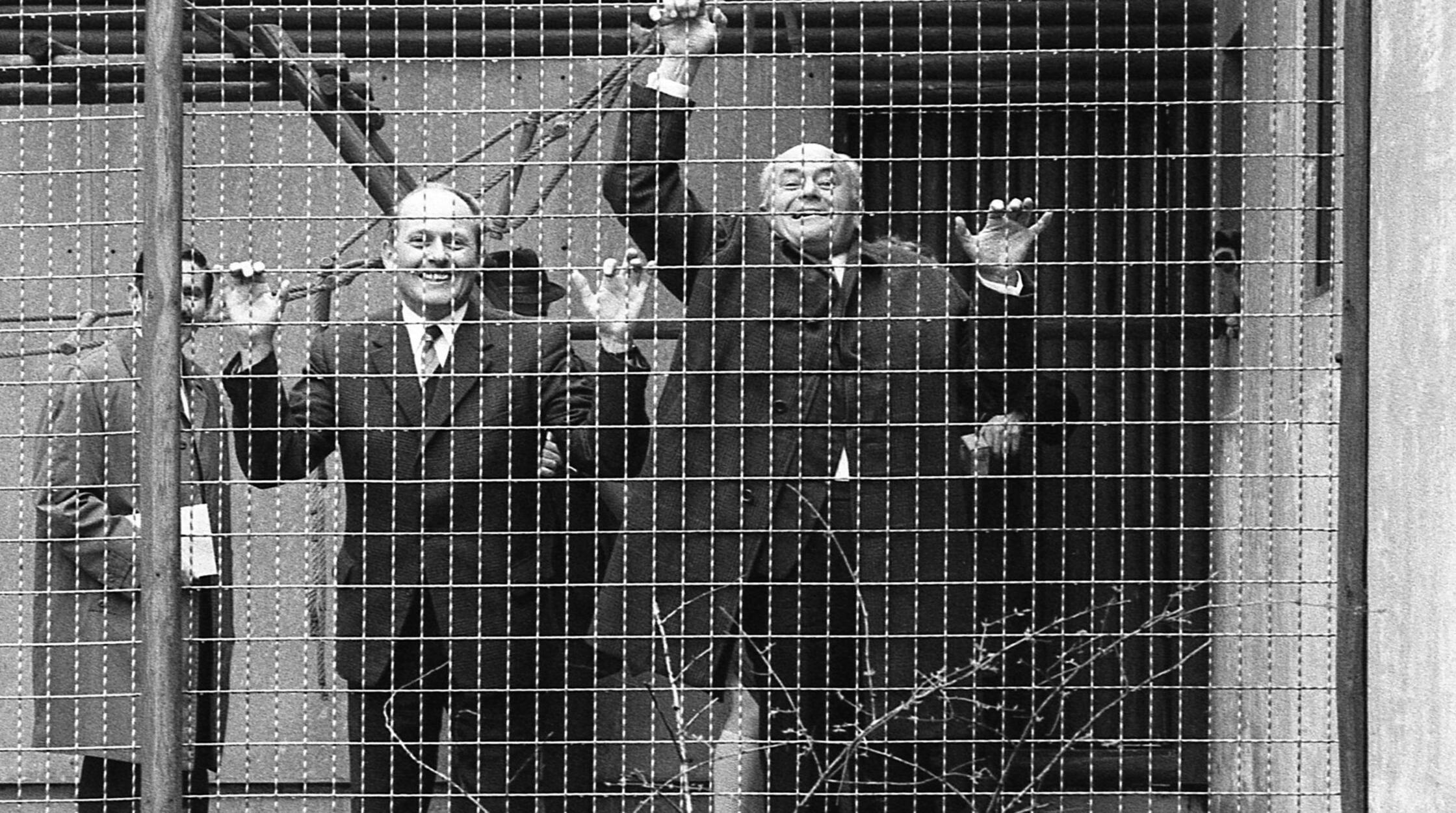 „Füttern verboten“ – Was für die Bewohner des Nürnberger Tiergartens gilt, traf so im April des Jahres 1970 auch für den damaligen 2. Bürgermeister Franz Haas (rechts) zu, der - zusammen mit Tiergarten-Assistent Dr. Manfred Kraus - seine kurzzeitige Rolle als Attraktion im neu eingerichteten Freigehege der Gibbons unerwartet ausdrucksstark verkörperte. Die zum Ende des Vorjahres in schlechtem Zustand aus Ostasien eingetroffenen Affen wurden noch in einer eigenen Quarantänestation des Tiergartens liebevoll aufgepäppelt. Bevor sie in ihr neues Domizil übersiedelten, ließ es sich Franz Haas nicht nehmen, sie zu besuchen und einige Bananen zu verteilen.