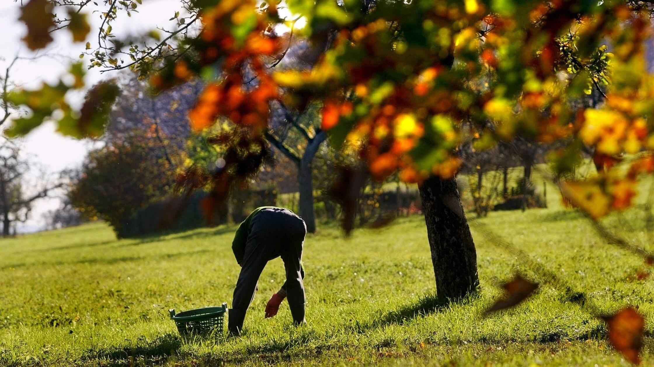 Bildnummer: 51771505 Datum: 24.10.2002 Copyright: 