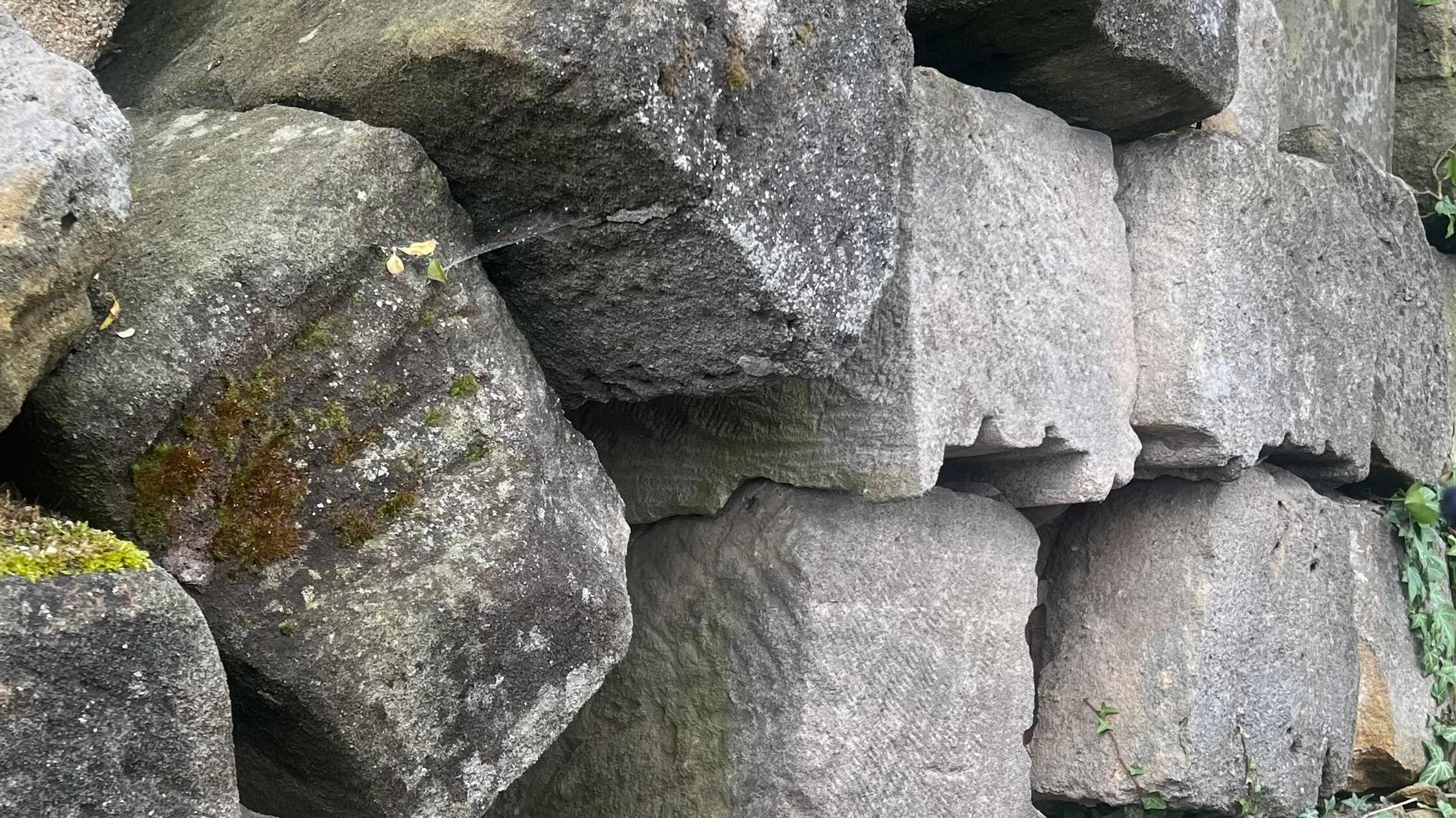 Steine 3 jüdische Nachfahren Gun Bauhof 2025