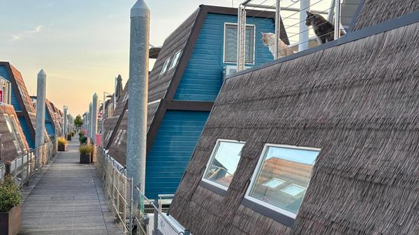 Das Resort rühmt sich damit, haustierfreundlich zu sein. Viele Gäste haben Hunde dabei, manche sogar, wie hier zu sehen, ihre Katzen.