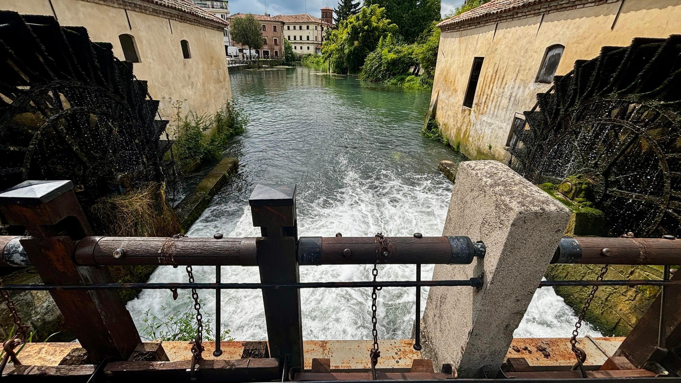 Nicht nur nach Portogruaro kann man schnell fahren von Lignano aus, auch ein Tagesausflug nach Venedig ist leicht möglich. Auch wir waren dort. Doch von der berühmten Lagunenstadt gibt es anderswo wahrlich schon genug Fotos.