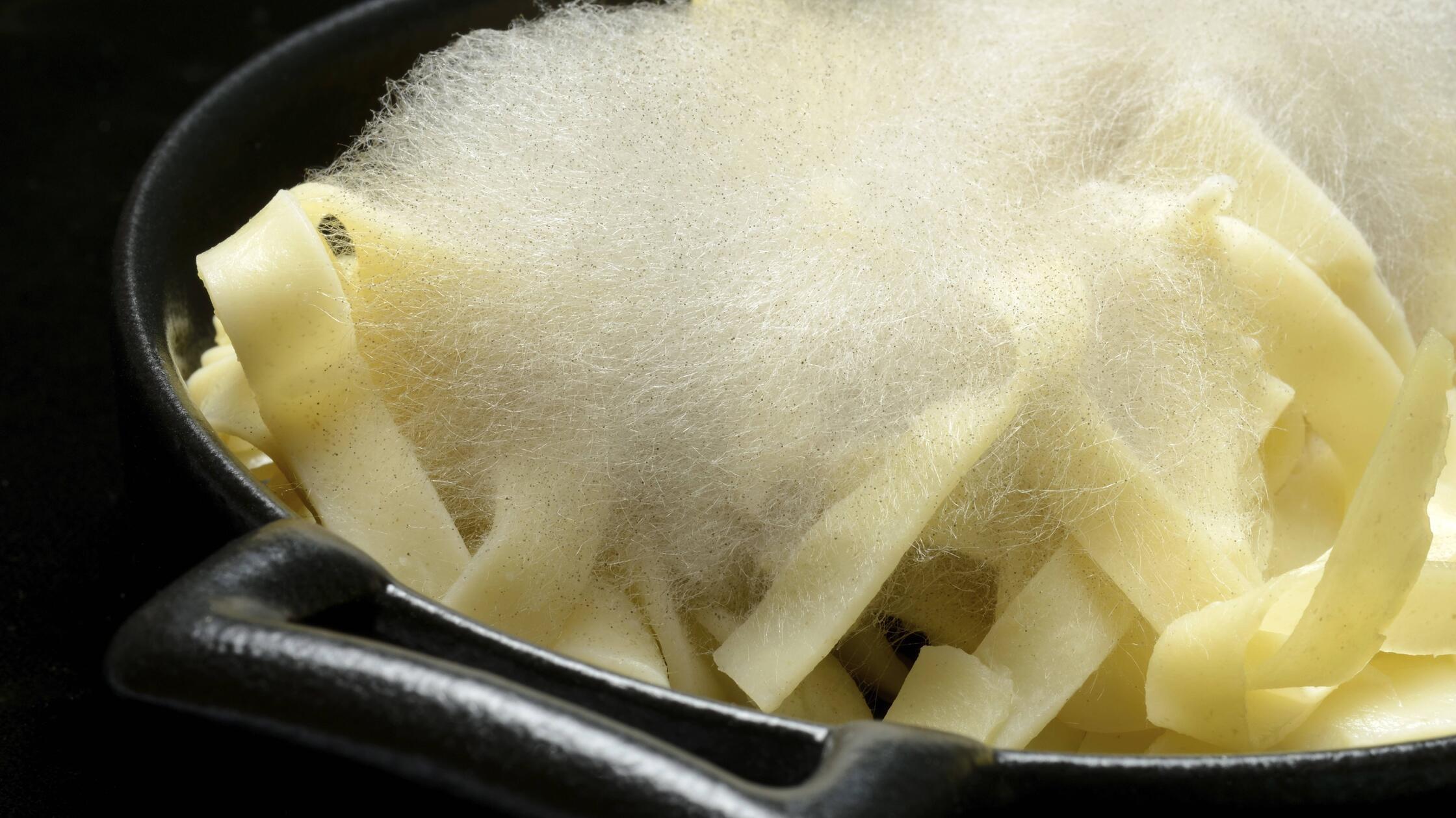 Schimmel auf Teigwaren, Schimmelpilz auf Lebensmit