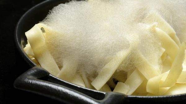 Schimmel auf Teigwaren, Schimmelpilz auf Lebensmit