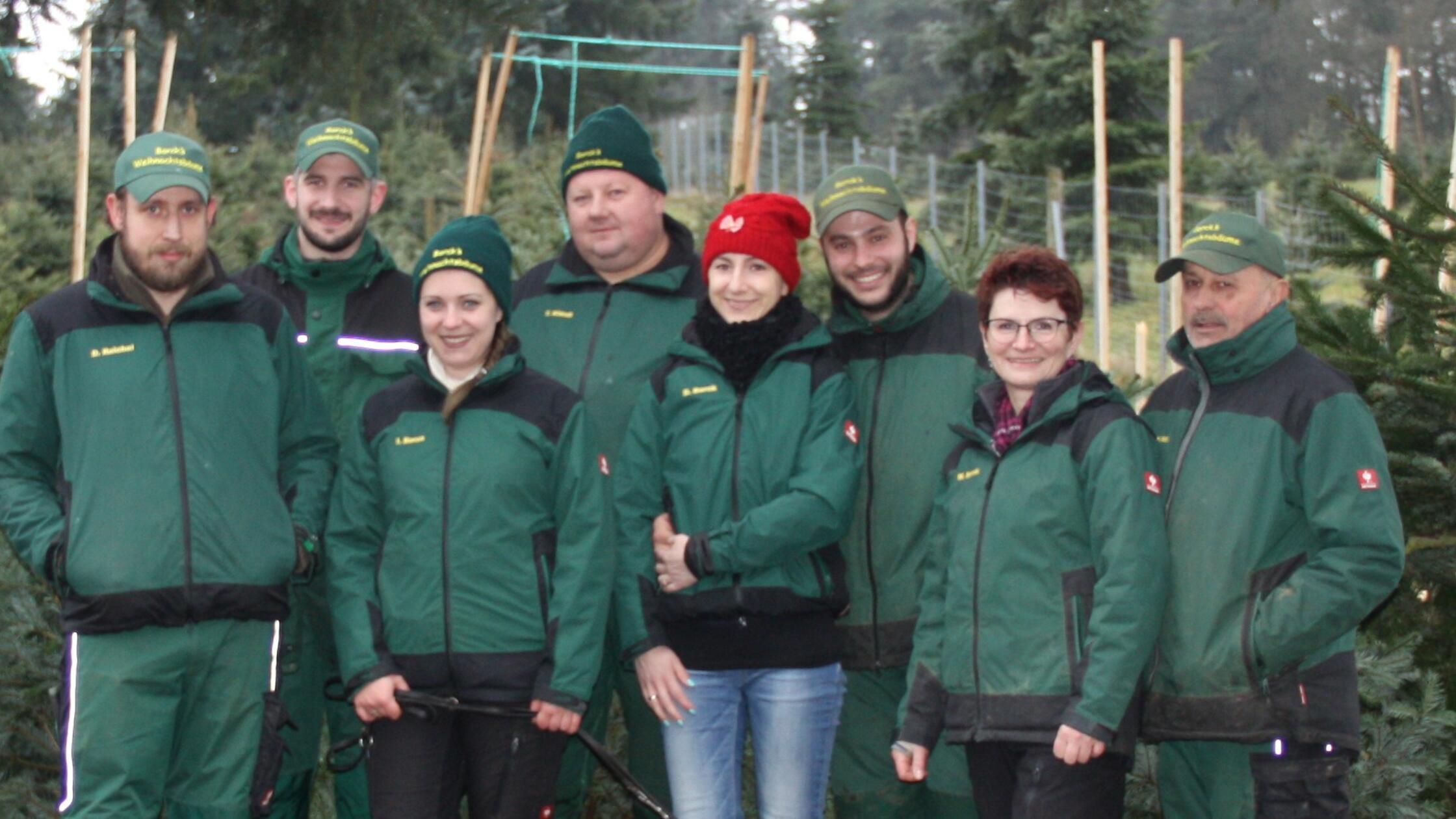 Borcks Weihnachtsbäume