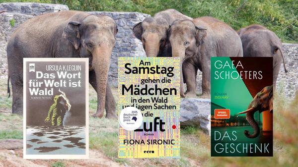 2025-09-15_13-37_collage