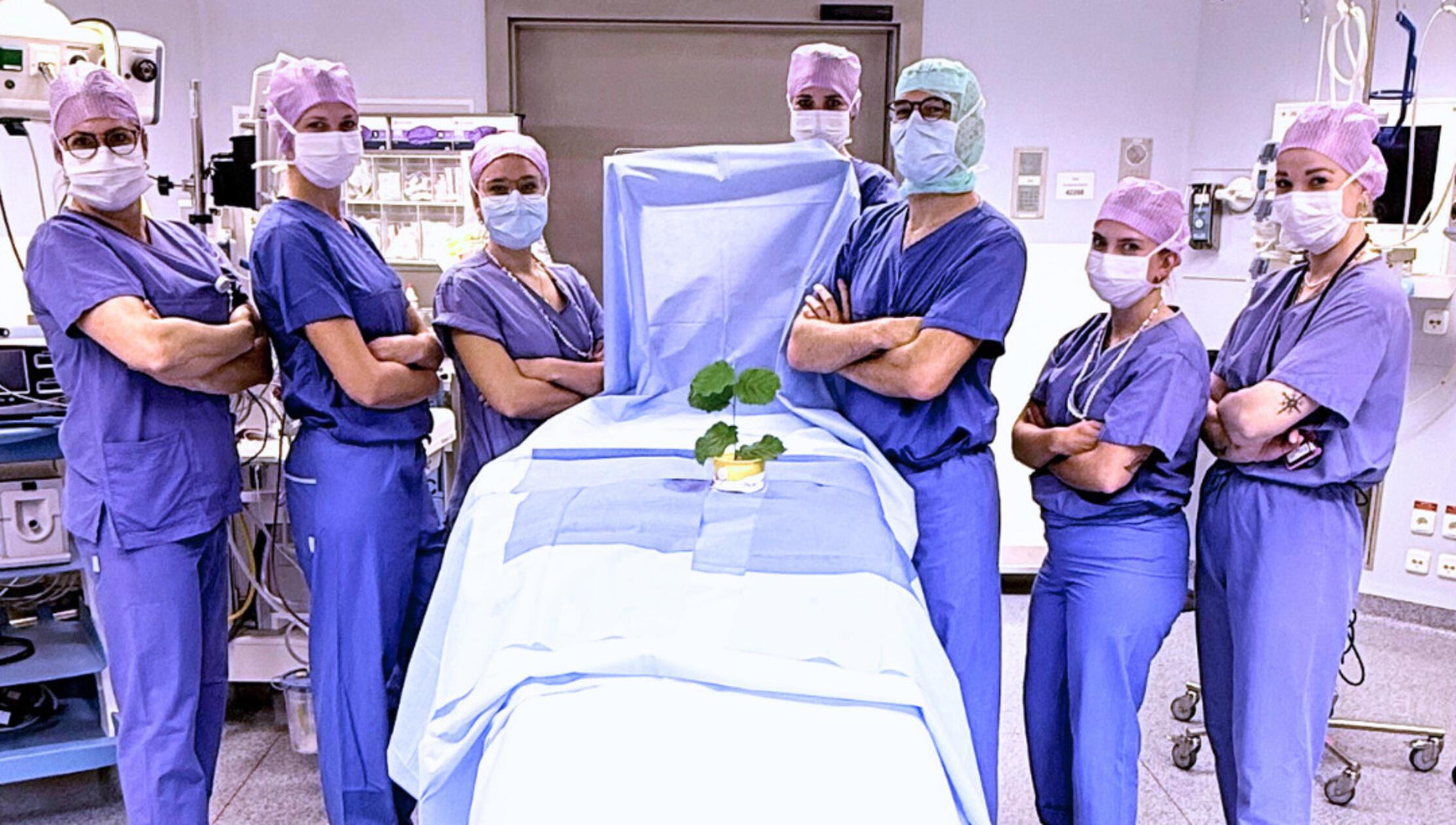 Baumpflanzchallenge Uniklinikum Erlangen