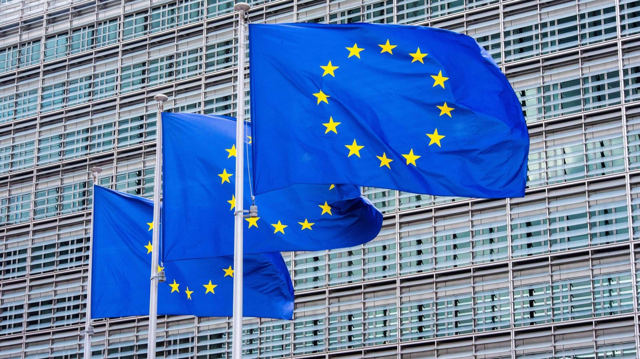 EU-Kommission verlangt Auskunft von US-Tech-Riesen zu Betrug