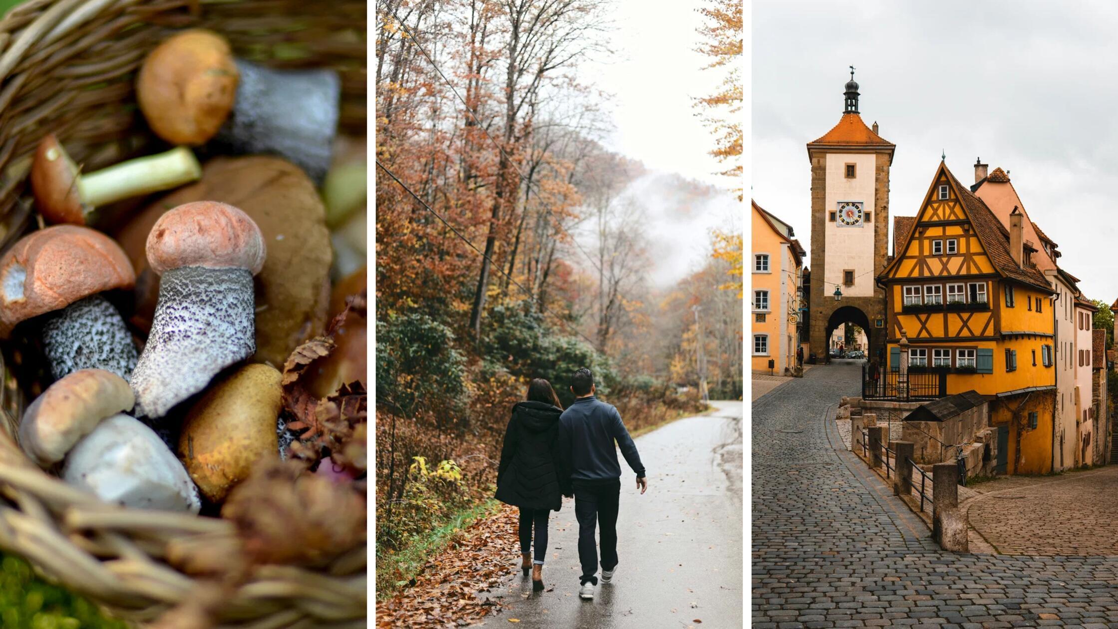 Nhen Fr Den Herbst