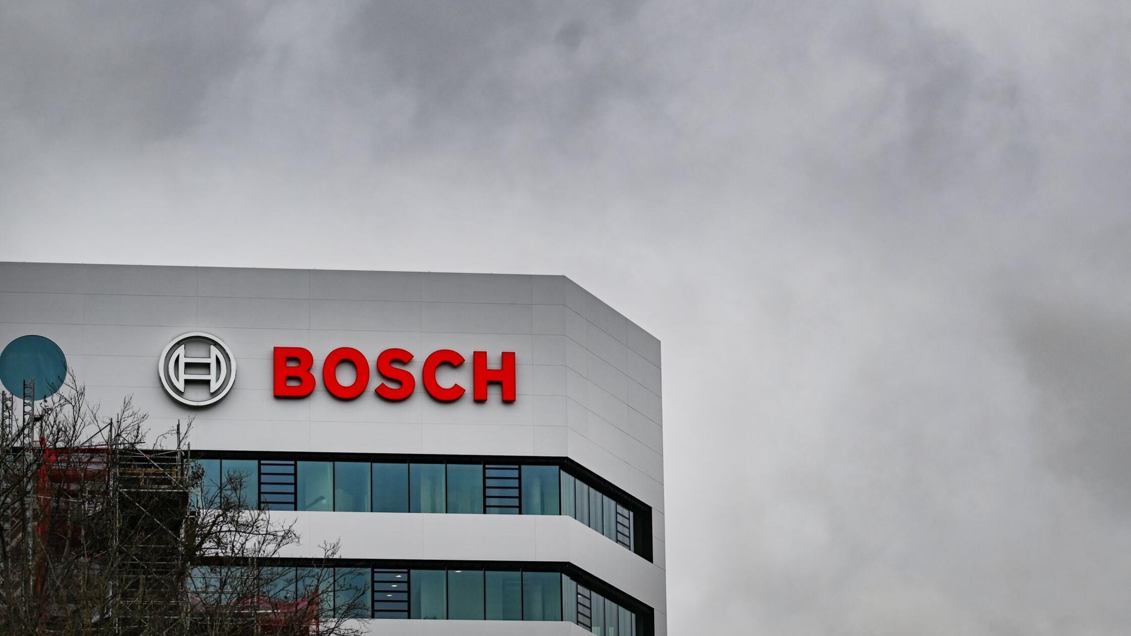 Bosch2680.jpg