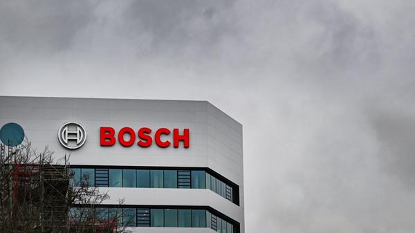 Bosch2680.jpg