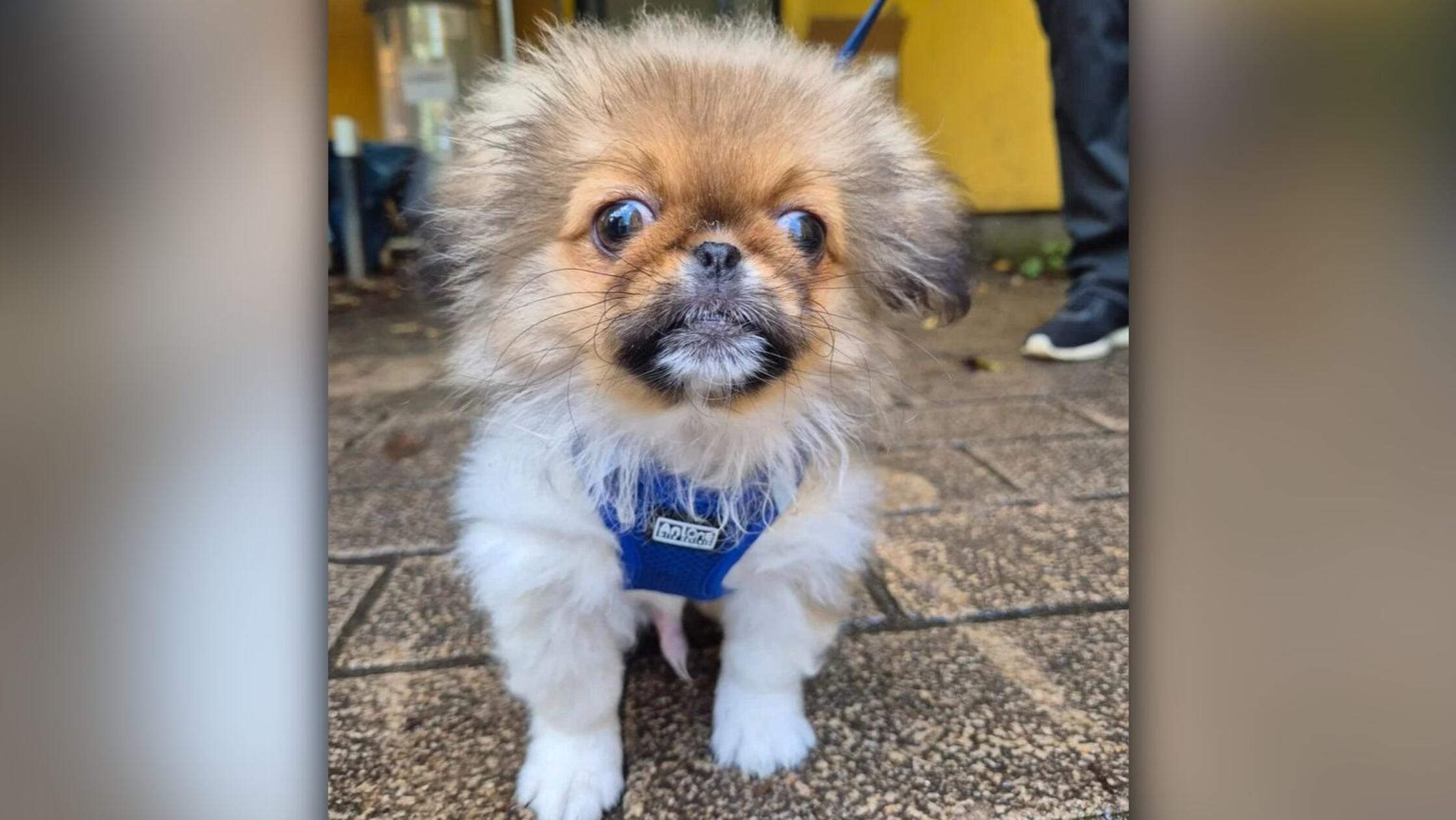 2025-09-25_15-40_bild_erweitern